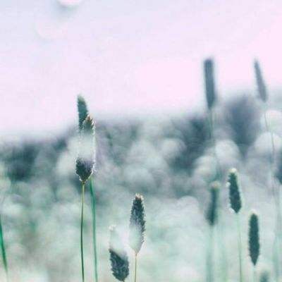 leyu·乐鱼体育截图